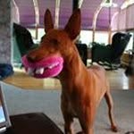 Ben Brodeur - @benbrodeur12 - Instagram