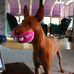 Ben Brodeur - Facebook