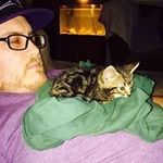 Ben Bronson - @gawildcat24 - Instagram