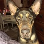 Ben Brook - Facebook