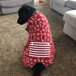 Ben Brooke - @b_e_n_brooke - Instagram