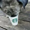 brookeben_ - @brookeben_ - TikTok