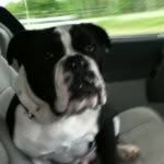 @ben_brookshire_36 - Instagram