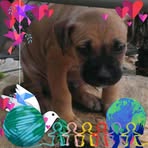 Ben Broomhead - Facebook