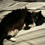Ben Browne - @ben.browne - Instagram
