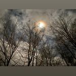 Ben Brubaker - @benbrubaker_ - Instagram