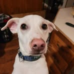 Ben Prahm - Facebook