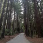 Ben Bruner - @brunerben - Instagram