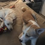 Ben Bruning - @bruningbenusausa - Instagram