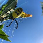 @ben_bryden_photography_ - Instagram