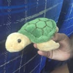 Fred Ben Bryer - @mr.fred_the_turtle - Instagram