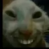 BEN BU BEN - @ben.bu.ben5 - TikTok