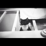 Ben Buckner - @benichon - Instagram