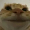 Ben Bucks - @bennyfuq - TikTok