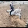 BuckerBen - @benbucksbulls - TikTok