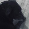 Ben Buddelmeyer - @benbuddelmeyer - TikTok