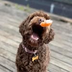 Ben Budge - @benbudge1 - Instagram