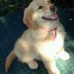 Ben Bufkin - @bnjbufkin - Instagram