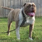 @ben_buford - Instagram