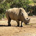 Ben Buhler - @buhlerben - Instagram