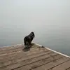 BUMPUS - @bumpus_official - TikTok