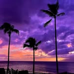 Ben Buono - @benbuono8 - Instagram