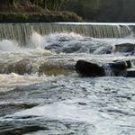 Benburb Angling Club - @benburbangling - Instagram