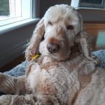 Rich - @ben_burbank - Instagram