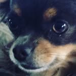 Ben Burd - @banana_ben555 - Instagram