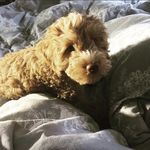 Ben - @ben_burden_1001 - Instagram