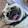 Ben Burnham - @benburnham5 - TikTok