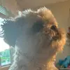 ben_._burrell - @ben_._burrell - TikTok