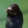 Ben Campo - @ben.campo - TikTok