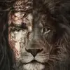 user656409572587 - @bencar07 - TikTok