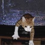 Benjamín Cárdenas - @bencardenasalb - Instagram