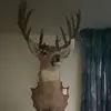 Ben - @ben_cardinal - TikTok