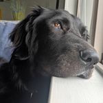 Ben Carey - @carebe01 - Instagram