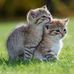 Ben Carignan - Facebook