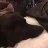 jackie - @bencarlisle71 - TikTok