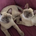 Ben Carlton - @bencarlton6065 - Instagram