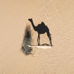 Ben Carman - @anwar.oza.1 - Instagram