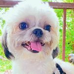 Ben J. Carmona - @thebaby_ben - Instagram