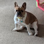Benjamin Carnahan - @carnahanbenjamin - Instagram