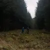 Ben on a carrera - @ben_on_a_carrera - TikTok