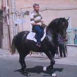 Benedetto Carroccio - @benedetto_carroccio - Instagram