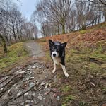 Ben Carruthers - @benc.39 - Instagram