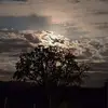 Ben Carver - @bencarver296 - TikTok