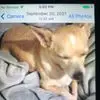 Ben Casados - @bencasados - TikTok
