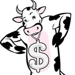 Ben Cashin - @the_cashcow14 - Instagram
