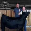 Ben Castle - @bencastle6 - TikTok